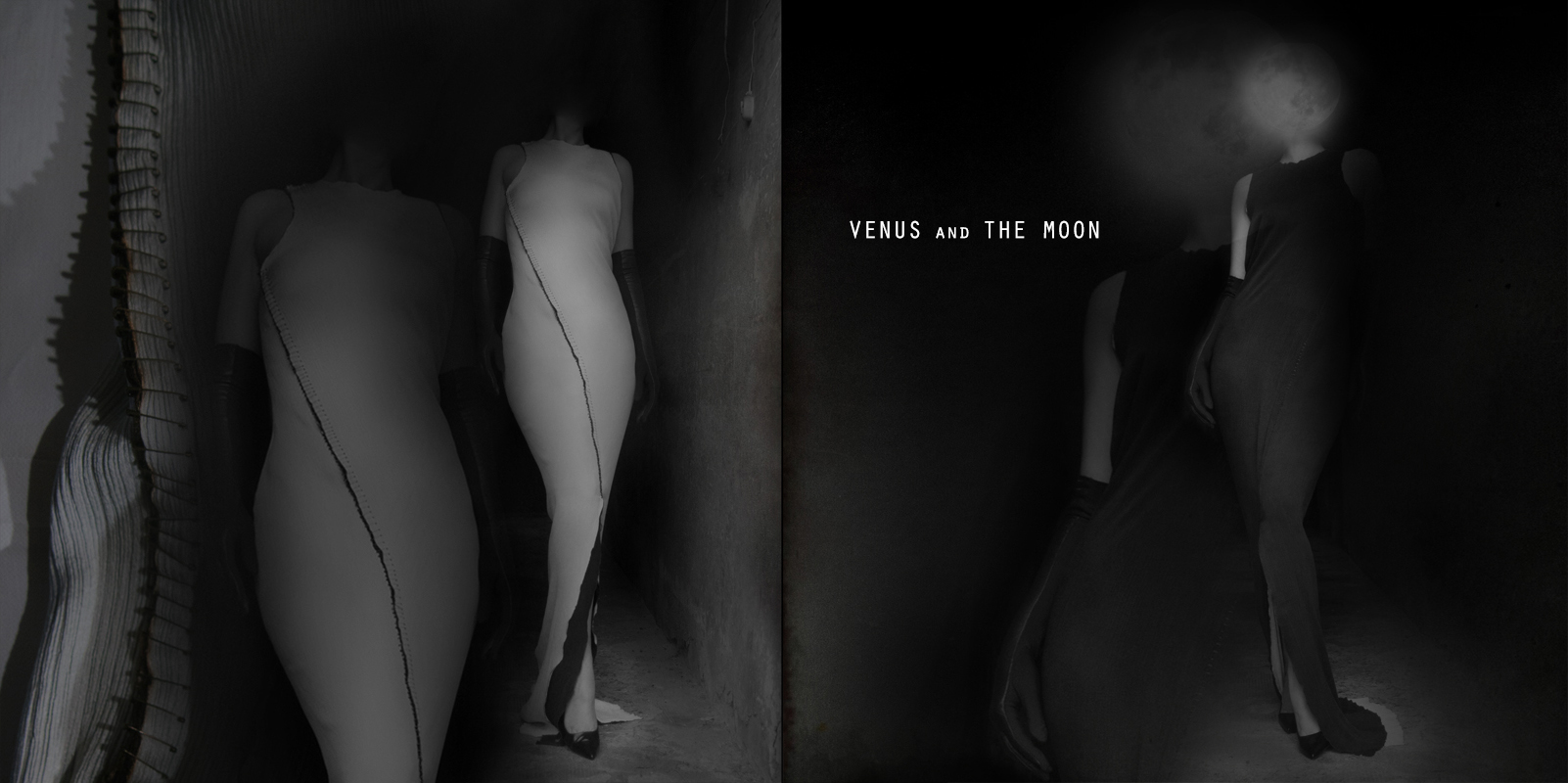 venus and the moon blog